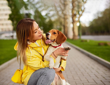 VETRAMIL® VS. MANUKA HONEY: WHAT’S THE DIFFERENCE IN WOUND CARE FOR PETS?